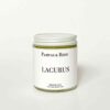 Pampas & Reed Light Body Cream