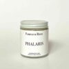 Pampas & Reed Phalaris Nourishing Body Cream