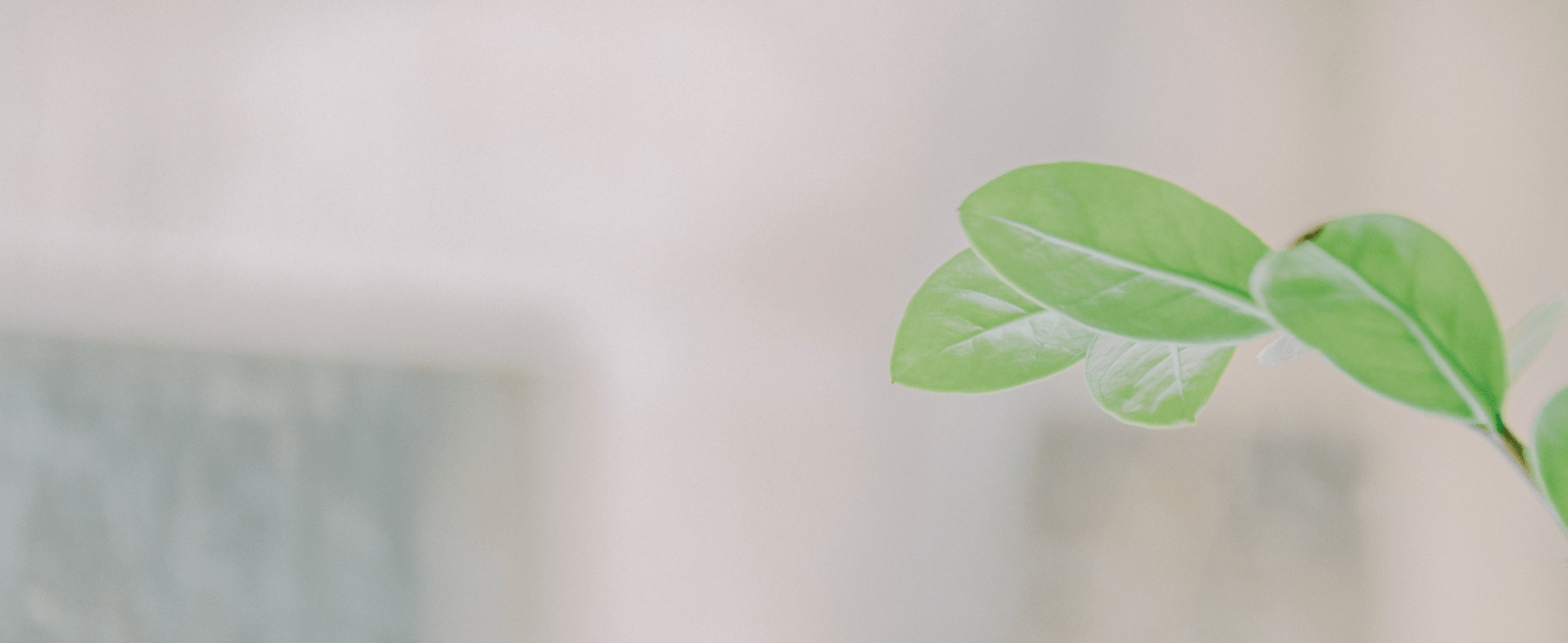 Oakville Store Canada